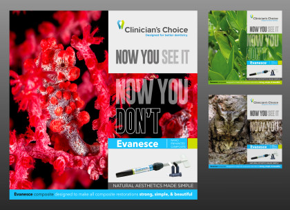 EVANESCE PRODUCT BRANDING